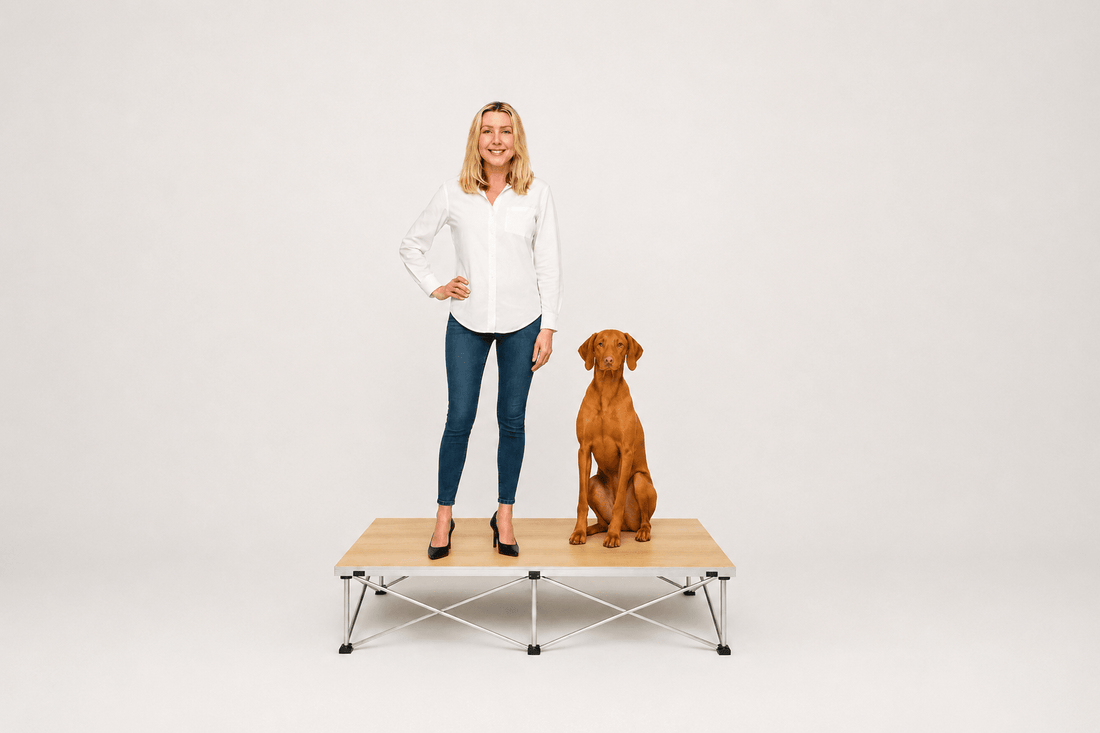 A Better Portable Stage Starts With Better Engineering - LimeLight Stages